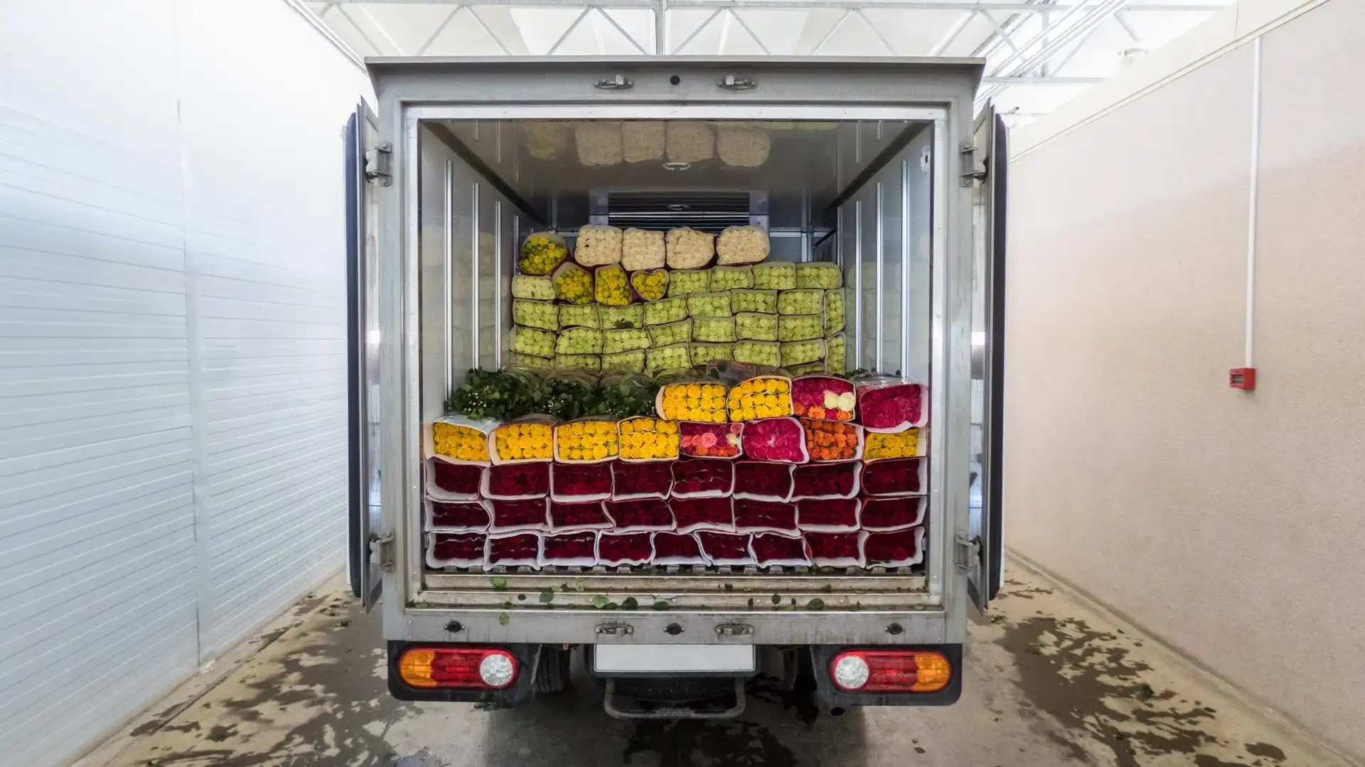 fresh-products-warehouse
